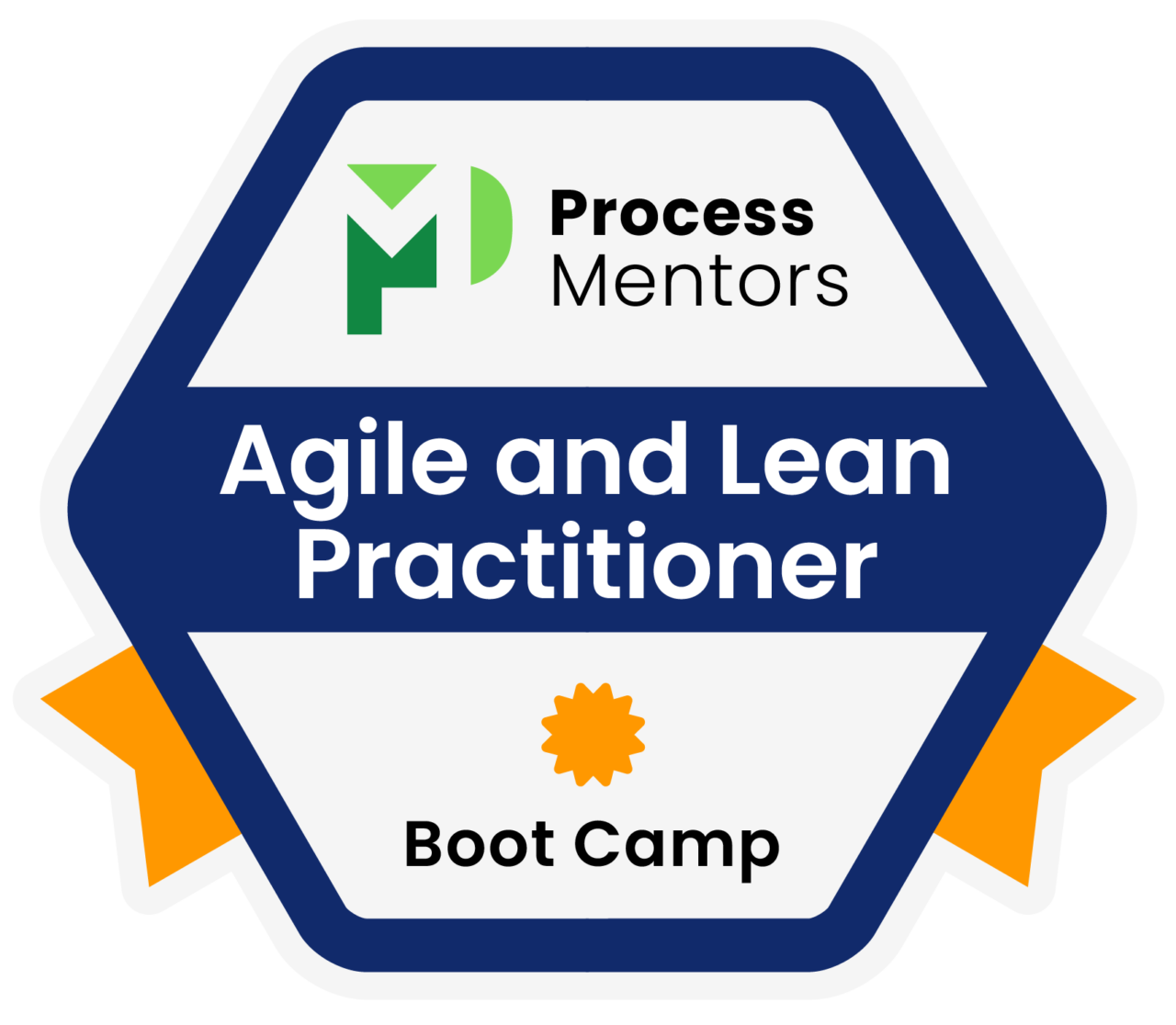 Disciplined Agile Boot Camp Process Mentors