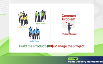 Project Manager to Value Delivery Manager